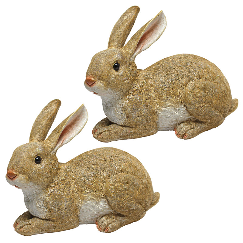 bashful rabbit